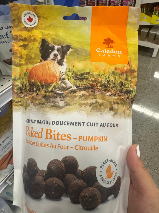 Baked Bites Pumpkin 265g