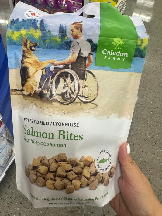Salmon Bites - Freeze Dried 90 g