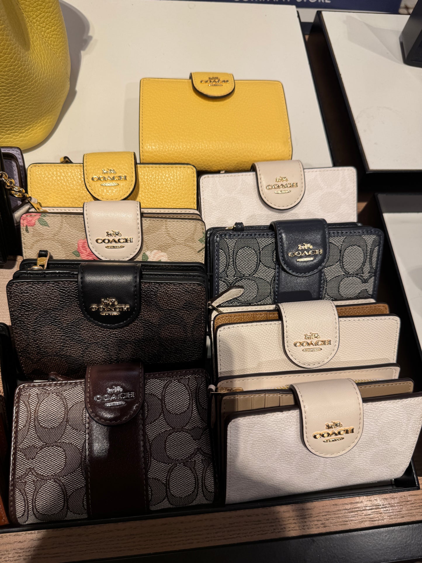 Medium Corner Zip Wallet In Signature Canvas