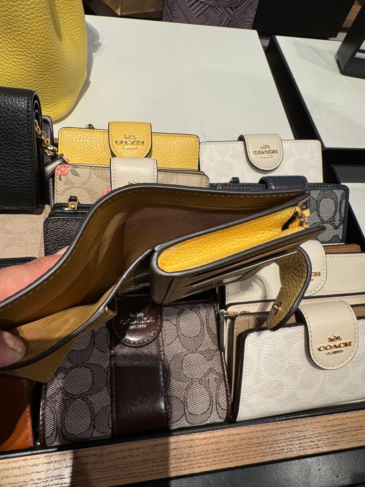 Medium Corner Zip Wallet In Signature Canvas